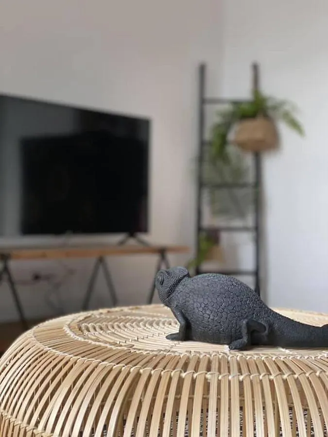 Apartment Residence L'Aristide : Appartement Naomi Auray